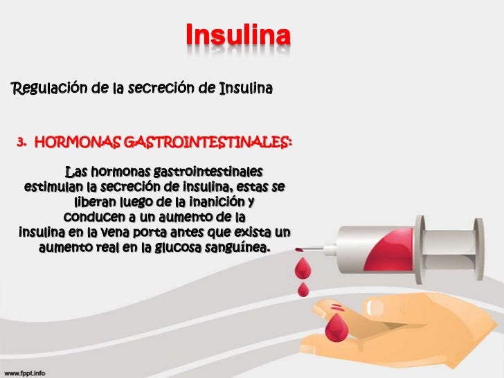 Efectos Metábolicos de la Insulina y el Glucagón Efectos Metábolicos de la Insulina y el Glucagón