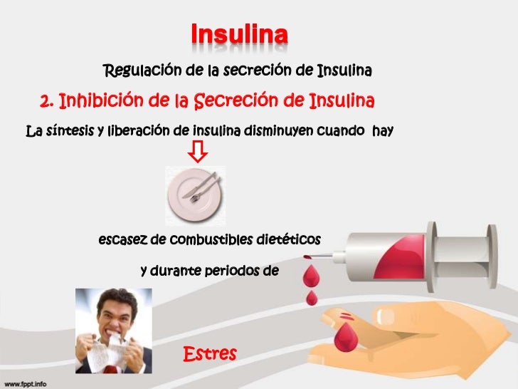 Wiki-nasa - -> Efecto en la secreción de insulina y glucagon” src=”http://wiki-nasa.wikispaces.com/file/view/andrea%204.png/440616730/720×431/andrea%204.png” alt=”Wiki-nasa – -> Efecto en la secreción de insulina y glucagon”><img height= Efectos Metabólicos de la Insulina y el Glucagon