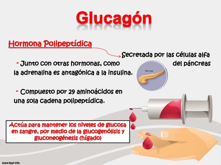 Efectos Metabólicos de la Insulina y el Glucagon Efectos Metabólicos de la Insulina y el Glucagon