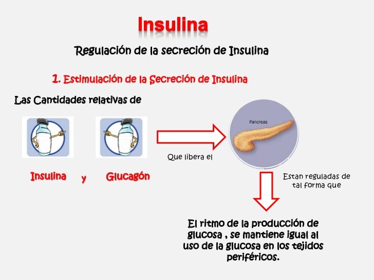 Efectos Metabólicos de la Insulina y el Glucagon Efectos Metabólicos de la Insulina y el Glucagon