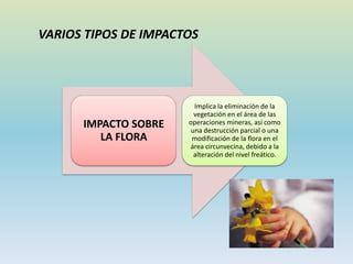 IMPACTO SOBRE
LA FLORA
Implica la eliminación de la
vegetación en el área de las
operaciones mineras, así como
una destrucción parcial o una
modificación de la flora en el
área circunvecina, debido a la
alteración del nivel freático.
VARIOS TIPOS DE IMPACTOS
 