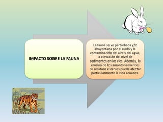 IMPACTO SOBRE LA FAUNA
La fauna se ve perturbada y/o
ahuyentada por el ruido y la
contaminación del aire y del agua,
la elevación del nivel de
sedimentos en los ríos. Además, la
erosión de los amontonamientos
de residuos estériles puede afectar
particularmente la vida acuática.
 