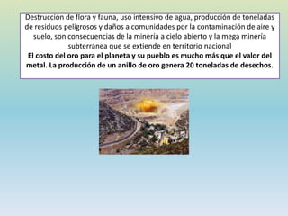 Destrucción de flora y fauna, uso intensivo de agua, producción de toneladas
de residuos peligrosos y daños a comunidades por la contaminación de aire y
suelo, son consecuencias de la minería a cielo abierto y la mega minería
subterránea que se extiende en territorio nacional
El costo del oro para el planeta y su pueblo es mucho más que el valor del
metal. La producción de un anillo de oro genera 20 toneladas de desechos.
 