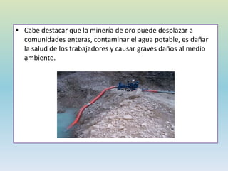 • Cabe destacar que la minería de oro puede desplazar a
comunidades enteras, contaminar el agua potable, es dañar
la salud de los trabajadores y causar graves daños al medio
ambiente.
 