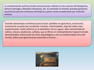 La contaminación química tendrá consecuencias nefastas en las cuencas del Nangaritza,
Zamora-Santiago y Marañón-Amazonas, etc. El contraste es hiriente: grandes ganancias
económicas para las empresas extranjeras y pocos socios ecuatorianos por inversión
mínima.
Grandes desventajas económicas para el país: pérdidas en agricultura, ecoturismo,
aumento de muertes por accidentes mineros, enfermedades, baja del índice vida,
contaminación: ácido sulfúrico en la atmósfera, tierra y aguas, altos concentrado de
sulfuro, cloruro, alcalícenos, sulfatos, que se filtran en medioambiente tropical húmedo
desertizándolo. Destrucción de sitios arqueológicos y de una biodiversidad única del
mundo, daños para generaciones presentes y futuras....
 