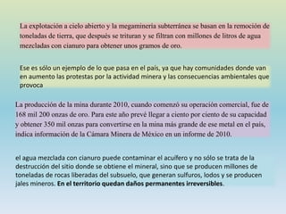 La explotación a cielo abierto y la megaminería subterránea se basan en la remoción de
toneladas de tierra, que después se trituran y se filtran con millones de litros de agua
mezcladas con cianuro para obtener unos gramos de oro.
Ese es sólo un ejemplo de lo que pasa en el país, ya que hay comunidades donde van
en aumento las protestas por la actividad minera y las consecuencias ambientales que
provoca
La producción de la mina durante 2010, cuando comenzó su operación comercial, fue de
168 mil 200 onzas de oro. Para este año prevé llegar a ciento por ciento de su capacidad
y obtener 350 mil onzas para convertirse en la mina más grande de ese metal en el país,
indica información de la Cámara Minera de México en un informe de 2010.
el agua mezclada con cianuro puede contaminar el acuífero y no sólo se trata de la
destrucción del sitio donde se obtiene el mineral, sino que se producen millones de
toneladas de rocas liberadas del subsuelo, que generan sulfuros, lodos y se producen
jales mineros. En el territorio quedan daños permanentes irreversibles.
 