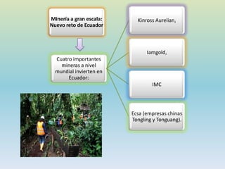 Minería a gran escala:
Nuevo reto de Ecuador
Cuatro importantes
mineras a nivel
mundial invierten en
Ecuador:
Kinross Aurelian,
Iamgold,
IMC
Ecsa (empresas chinas
Tongling y Tonguang).
 