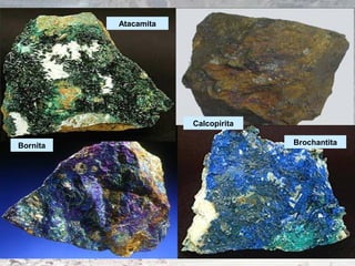 Atacamita
BrochantitaBornita
Calcopirita
 