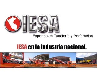 Expertos en Tunelería y Perforación


IESA en la industria nacional.
 