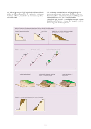 Los huecos de explotación se remodelan mediante relleno
total o parcial, con los estériles de explotación, o bien con
materiales externos procedentes de excavaciones y obras
de construcción.
Los frentes son paredes rocosas, generalmente de gran
altura y pendiente, que suelen estar divididas en bancos.
Su remodelado se realiza mediante relleno total o parcial
de los bancos y con la aplicación de voladuras
controladas, que permiten crear taludes continuos, romper
las aristas de los bancos, e incluso abrir pequeños cráteres
donde se puede plantar vegetación.
DIFERENTES TÉCNICAS PARA EL REMODELADO DE LOS FRENTES DE EXPLOTACIÓN
Voladuras de descabezamiento Zafra volada Relleno total con rechazos de planta o estériles.
Recubrimiento con tierras de cobertera.
Voladuras controladas Apertura de cráteres Relleno e implantación vegetal
Voladura de remodelado Reducción de pendiente. Mejora de
textura y apariencia “natural”
Vertido de cobertera o
tierra vegetal
Escombros
Voladura de la parte superior del talud para reducir la pendiente.
214
 