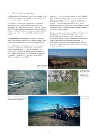 3.2.3. Plantaciones y siembras
La última etapa de la restauración es la revegetación de las
superficies previamente preparadas, es decir, la plantación
o siembra de especies vegetales.
Para asegurar el éxito de la revegetación, es necesario
utilizar las especies vegetales más apropiadas al uso
previsto y a las características de suelo y clima de la zona.
Pueden emplearse plantas cultivadas en vivero, semillas, o
bien una mezcla de ambas formas, y una combinación de
especies que incluya árboles, arbolillos, arbustos, matas y
hierbas.
Las especies leñosas cultivadas en vivero se plantan en
hoyos excavados en el terreno, de manera individual o en
grupos, o en zanjas, disponiendo las plantas en hileras.
Una modalidad especial de plantación es el transplante.
Consiste en mudar directamente con su cepellón un
ejemplar maduro desde su lugar de crecimiento en el
campo, hasta otro sitio. En la Comunidad de Madrid, es
muy habitual el transplante de olivos desde las zonas de
explotación a las áreas de restauración, y con ello se
obtienen muy buenos resultados.
Muchas explotaciones disponen de viveros
propios en los que cultivan las plantas que
después utilizan en la restauración.
La siembra es un método de revegetación muy utilizado
en la restauración de espacios mineros, ya que permite
cubrir grandes superficies de terreno en un plazo de
tiempo relativamente corto. Se efectúa esparciendo las
semillas a voleo directamente sobre la tierra. Suelen
emplearse semillas de herbáceas, aunque también pueden
sembrarse matas de pequeño tamaño, e incluso bellotas
de encina, roble o quejigo.
Un tipo especial de siembra es la hidrosiembra. Consiste
en proyectar una mezcla de semillas, agua y otros
productos sobre la superficie a restaurar, con una
manguera a presión. La mezcla de hidrosiembra incluye
productos que fijan las semillas a la superficie de
tratamiento, otros que crean una capa que las recubre y
evita que se sequen, y otros productos de la mezcla son
fertilizantes y abonos.
Para la hidrosiembra
de los frentes rocosos
se utilizan semillas de
plantas rupícolas y
productos que dan a
la roca un aspecto
envejecido.
Hidrosiembra de
una escombrera.
Olivos transplantados
en una cantera de
caliza en Madrid.
UT 9 la miner a y el medio ambiente vr. 4.0.qxp 02/03/2007 12:26 PÆgina 18
216
 