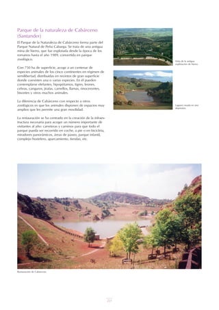 221
Parque de la naturaleza de Cabárceno
(Santander)
El Parque de la Naturaleza de Cabárceno forma parte del
Parque Natural de Peña Cabarga. Se trata de una antigua
mina de hierro, que fue explotada desde la época de los
romanos hasta el año 1989, convertida en parque
zoológico.
Con 750 ha de superficie, acoge a un centenar de
especies animales de los cinco continentes en régimen de
semilibertad, distribuidas en recintos de gran superficie
donde coexisten una o varias especies. En él pueden
contemplarse elefantes, hipopótamos, tigres, leones,
cebras, canguros, jirafas, camellos, llamas, rinocerontes,
bisontes y otros muchos animales.
La diferencia de Cabárceno con respecto a otros
zoológicos es que los animales disponen de espacios muy
amplios que les permite una gran movilidad.
La restauración se ha centrado en la creación de la infraes-
tructura necesaria para acoger un número importante de
visitantes al año: carreteras y caminos para que todo el
parque pueda ser recorrido en coche, a pie o en bicicleta,
miradores panorámicos, áreas de paseo, parque infantil,
complejo hostelero, aparcamiento, tiendas, etc.
Restauración de Cabárceno.
Vista de la antigua
explotación de hierro.
Laguna creada en una
depresión.
 