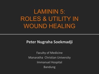 LAMININ 5:
ROLES & UTILITY IN
WOUND HEALING
Peter Nugraha Soekmadji
Faculty of Medicine
Manaratha Christian University
Immanuel Hospital
Bandung
 