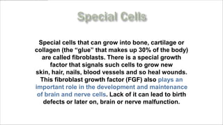 Special cells that can grow into bone, cartilage or
collagen (the “glue” that makes up 30% of the body)
   are called fibroblasts. There is a special growth
      factor that signals such cells to grow new
skin, hair, nails, blood vessels and so heal wounds.
  This fibroblast growth factor (FGF) also plays an
important role in the development and maintenance
 of brain and nerve cells. Lack of it can lead to birth
   defects or later on, brain or nerve malfunction.

     www.MyLifePharm.com/vibrantgoodhealth
 