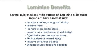 Several published scientific studies on Laminine or its major
               ingredient have shown it may:
            • Improve stamina, energy and vitality
            • Improve focus
            • Promote more restful sleep
            • Improve the overall sense of well-being
            • Enjoy faster post workout recovery
            • Reduce signs of normal aging
            • Improve emotional balance
            • Enhance muscle tone and strength
             www.ActivateYourStemCells.com
 