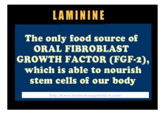 http://www.lamininesupplement.com/
 