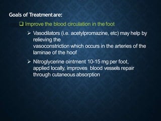 Goals of Treatmentare:
 Improve the blood circulation in thefoot
 Vasodilators (i.e. acetylpromazine, etc) may help by
relieving the
vasoconstriction which occurs in the arteries of the
laminae of the hoof
 Nitroglycerine ointment 10-15 mg per foot,
applied locally, improves blood vessels repair
through cutaneous absorption
 
