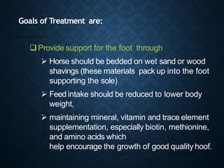 Goals of Treatment are:
 Provide support for the foot through
 Horse should be bedded on wet sand or wood
shavings (these materials pack up into the foot
supporting the sole)
 Feed intake should be reduced to lower body
weight,
 maintaining mineral, vitamin and trace element
supplementation, especially biotin, methionine,
and amino acids which
help encourage the growth of good quality hoof.
 