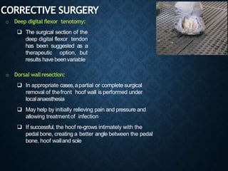 CORRECTIVE SURGERY
o Deep digital flexor tenotomy:
 The surgical section of the
deep digital flexor tendon
has been suggested as a
therapeutic option, but
results have beenvariable
o Dorsal wallresection:
 In appropriate cases,apartial or complete surgical
removal of thefront hoof wall is performed under
localanaesthesia
 May help by initially relieving pain and pressure and
allowing treatmentof infection
 If successful, the hoof re-grows intimately with the
pedal bone, creating a better angle between the pedal
bone, hoof walland sole
 