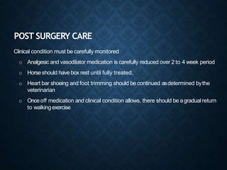 POST SURGERY CARE
Clinical condition must be carefully monitored
o Analgesic and vasodilator medication is carefully reduced over 2 to 4 week period
o Horseshould have box rest until fully treated.
o Heart bar shoeing and foot trimming should be continued asdetermined bythe
veterinarian
o Onceoff medication and clinical condition allows, there should be agradualreturn
to walking exercise
 