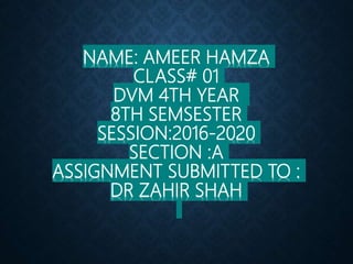 NAME: AMEER HAMZA
CLASS# 01
DVM 4TH YEAR
8TH SEMSESTER
SESSION:2016-2020
SECTION :A
ASSIGNMENT SUBMITTED TO :
DR ZAHIR SHAH
 
