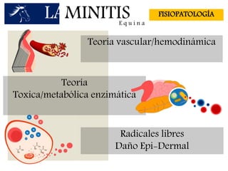 LAMINITISE q u i n a
FISIOPATOLOGÍA
Teoría vascular/hemodinámica
Teoría
Toxica/metabólica enzimática
Radicales libres
Daño Epi-Dermal
 