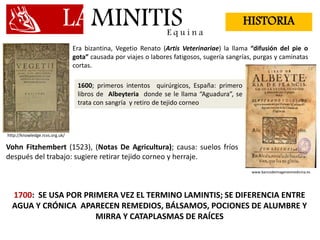 LAMINITISE q u i n a
HISTORIA
Era bizantina, Vegetio Renato (Artis Veterinariae) la llama “difusión del pie o
gota” causada por viajes o labores fatigosos, sugería sangrías, purgas y caminatas
cortas.
http://knowledge.rcvs.org.uk/
Vohn Fitzhembert (1523), (Notas De Agricultura); causa: suelos fríos
después del trabajo: sugiere retirar tejido corneo y herraje.
1600; primeros intentos quirúrgicos, España: primero
libros de Albeyteria donde se le llama “Aguadura”, se
trata con sangría y retiro de tejido corneo
www.bancodeimagenesmedicina.es
1700: SE USA POR PRIMERA VEZ EL TERMINO LAMINTIS; SE DIFERENCIA ENTRE
AGUA Y CRÓNICA APARECEN REMEDIOS, BÁLSAMOS, POCIONES DE ALUMBRE Y
MIRRA Y CATAPLASMAS DE RAÍCES
 