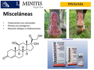 E q u i n a
ETIOLOGÍALAMINITIS
Misceláneas
• Tratamientos con corticoides
• Plantas con estrógenos
• Reacción alérgica a medicamentos
www.engormix.com
www.qltargentina.com.ar
 