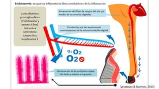 (Velazquez & Guzman, 2015)
 