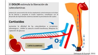 (Velazquez & Guzman, 2015)
 