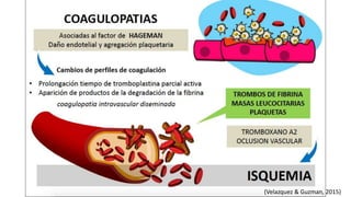 (Velazquez & Guzman, 2015)
 