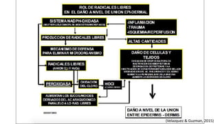 (Velazquez & Guzman, 2015)
 