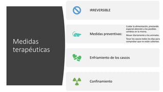 Medidas
terapéuticas
IRREVERSIBLE
Medidas preventivas:
Cuidar la alimentación, prestando
especial atención a los posibles
cambios en la misma.
Mover diariamente a los animales.
Tocar los cascos todos los días para
comprobar que no están calientes.
Enfriamiento de los cascos
Confinamiento
 