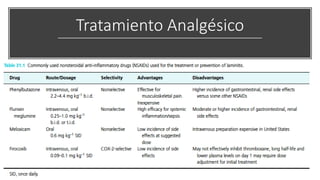 Tratamiento Analgésico
 