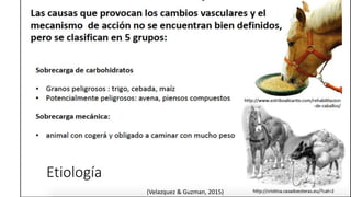 (Velazquez & Guzman, 2015)
Etiología
 