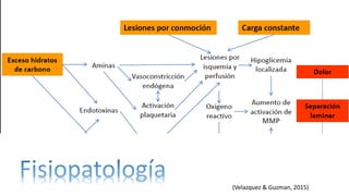 (Velazquez & Guzman, 2015)
 