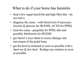 What to do if your horse has laminitis
• feed a low sugar/starch/fat and high fibre diet - do
  not starve
• diagnose the cause - with blood tests if necessary
  (insulin & glucose for IR/EMS, ACTH for PPID)
• treat the cause - pergolide for PPID, diet and
  possibly Metformin for IR/EMS
• get lateral x-rays taken to assess damage and
  movement of the pedal bone
• get the hooves trimmed as soon as possible with a
  short toe & low heel. Realign any rotation as soon
  as possible
 