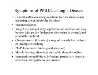 Symptoms of PPID/Cushing’s Disease
• Laminitis often occurring in autumn (see seasonal rise) or
  occurring late in life for the first time
• Insulin resistance
• Weight loss and pot belly appearance are common and may
  be seen with patchy fat deposits developing in the neck and
  around the tail head
• Changes to coat (hirsutism) - long, often curly hair, delayed
  or incomplete shedding
• PU/PD (excessive drinking and urination)
• Muscle wasting, often most noticeable along the topline
• Increased susceptibility to infections, particularly sinusitis,
  abscesses, skin problems, pneumonia.
 