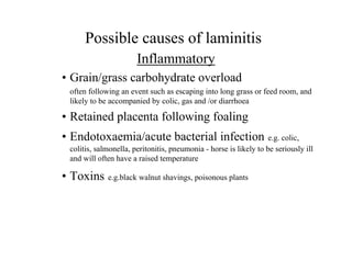 Possible causes of laminitis
                        Inflammatory
• Grain/grass carbohydrate overload
  often following an event such as escaping into long grass or feed room, and
  likely to be accompanied by colic, gas and /or diarrhoea

• Retained placenta following foaling
• Endotoxaemia/acute bacterial infection e.g. colic,
  colitis, salmonella, peritonitis, pneumonia - horse is likely to be seriously ill
  and will often have a raised temperature

• Toxins e.g.black walnut shavings, poisonous plants
 