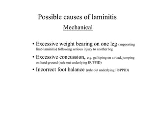 Possible causes of laminitis
                    Mechanical

• Excessive weight bearing on one leg (supporting
 limb laminitis) following serious injury to another leg

• Excessive concussion, e.g. galloping on a road, jumping
 on hard ground (rule out underlying IR/PPID)

• Incorrect foot balance (rule out underlying IR/PPID)
 