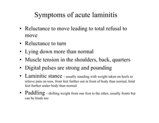 Symptoms of acute laminitis
• Reluctance to move leading to total refusal to
  move
• Reluctance to turn
• Lying down more than normal
• Muscle tension in the shoulders, back, quarters
• Digital pulses are strong and pounding
• Laminitic stance - usually standing with weight taken on heels to
   relieve pain on toes, front feet further out in front of body than normal, hind
   feet further under body than normal.

• Paddling - shifting weight from one foot to the other, usually fronts but
   can be hinds too
 