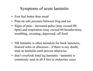 Symptoms of acute laminitis
• Feet feel hotter than usual
• Pain on sole pressure between frog and toe
• Signs of pain - increased pulse (may exceed 80
  bpm) and respiration (may exceed 60 breaths/min),
  trembling, sweating, depressed, off food

• NB laminitis is often mistaken for hock lameness,
  bruised soles or abscesses - if there is any doubt,
  treat as laminitis until proven otherwise
• don’t overlook hind leg laminitis - laminitis is
  commonly seen in all 4 feet in endocrine cases
 