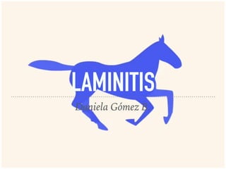 LAMINITIS
Daniela Gómez B.
 