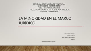 REPÚBLICA BOLIVARIANA DE VENEZUELA
UNIVERSIDAD “FERMÍN TORO”
VICE- RECTOR ACADÉMICO
FACULTAD DE LAS CIENCIAS POLÍTICAS Y JURÍDICAS
ESCUELA DE DERECHO
LA MINORIDAD EN EL MARCO
JURÍDICO.
BR.: PATRICIA BARRIOS
C.I.: V- 30.102.727
ABOG.: MARCO CASTELLANOS
SAIA 2021
INDEPENDENCIA/ YARACUY 26/06/2022
 