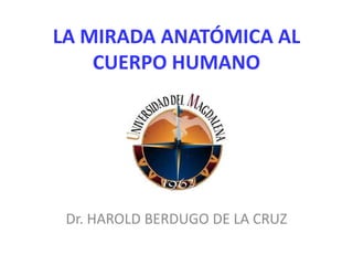 Dr. HAROLD BERDUGO DE LA CRUZ
LA MIRADA ANATÓMICA AL
CUERPO HUMANO
 