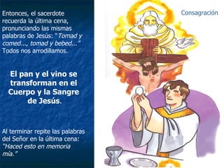 Entonces, el sacerdote recuerda la última cena, pronunciando las mismas palabras de Jesús: “ Tomad y comed..., tomad y bebed...” Todos nos arrodillamos. El pan y el vino se transforman en el Cuerpo y la Sangre de Jesús . Al terminar repite las palabras del Señor en la última cena: “ Haced esto en memoria mía.” Consagración 
