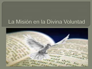 La misión en la divina voluntad