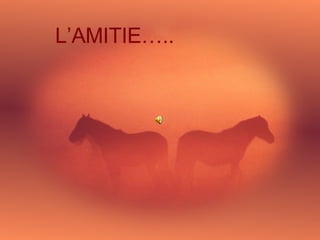 L’AMITIE….. 
