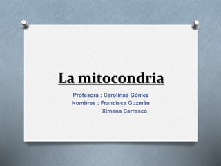 La mitocondria
Profesora : Carolinas Gómez
Nombres : Francisca Guzmán
Ximena Carrasco
 