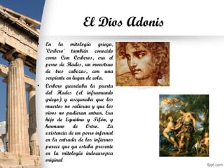 El Dios Adonis
• En la mitología griega,
'Cerbero' también conocido
como Can Cerberos, era el
perro de Hades, un monstruo
de tres cabezas, con una
serpiente en lugar de cola.
• Cerbero guardaba la puerta
del Hades (el inframundo
griego) y aseguraba que los
muertos no salieran y que los
vivos no pudieran entrar. Era
hijo de Equidna y Tifón, y
hermano de Ortro. La
existencia de un perro infernal
en la entrada de los infiernos
parece que ya estaba presente
en la mitología indoeuropea
original
 